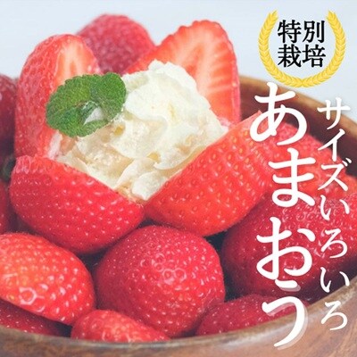 【先行予約受付中】特別栽培あまおう4パック(サイズミックス)【うるう農園】_HA1968