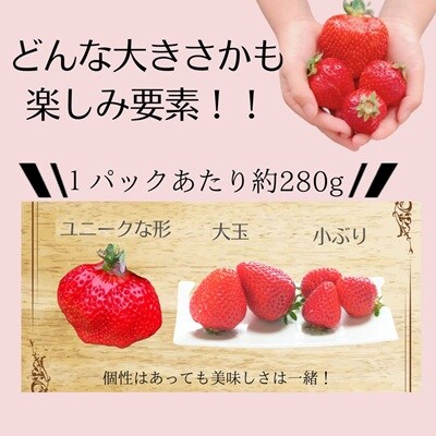 【先行予約受付中】特別栽培あまおう4パック(サイズミックス)【うるう農園】_HA1968