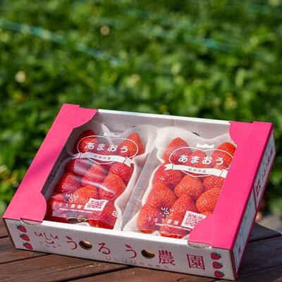 特別栽培あまおうDX2パック【うるう農園】_HA1965