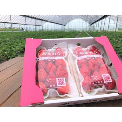特別栽培あまおうDX2パック【うるう農園】_HA1965