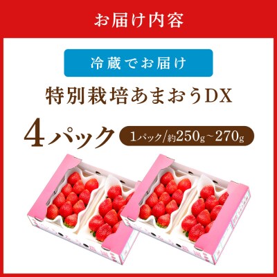 【先行予約受付中】特別栽培あまおうDX4パック【うるう農園】_AS1966-00