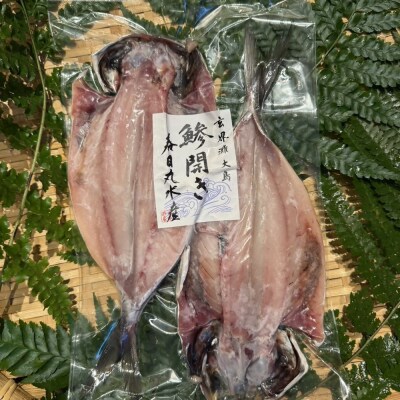 大島ひものセット【海神(わだつみ)】_HA2002