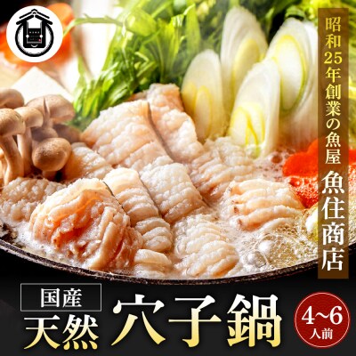 【鐘崎産天然穴子】国産天然穴子鍋セット(4〜6人前) 【魚住商店】_HA1994