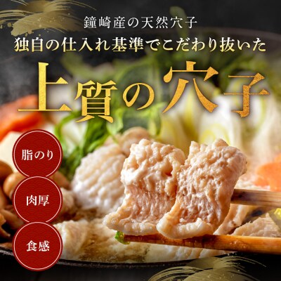 【鐘崎産天然穴子】国産天然穴子鍋セット(4〜6人前) 【魚住商店】_HA1994