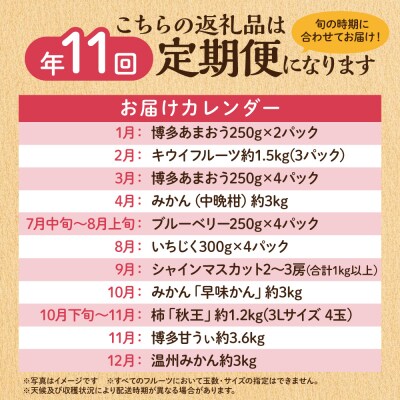 【定期便/年11回】JAむなかた厳選!旬のフルーツ定期便【JAほたるの里】_HB0171