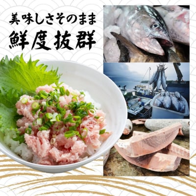 まぐろたたき ネギトロ(100g×10P)【魚住商店】_HA1975