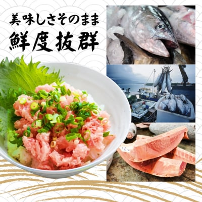 まぐろたたき ネギトロ(100g×10P)【魚住商店】_HA1975