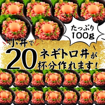 まぐろたたき ネギトロ(100g×10P)【魚住商店】_HA1975