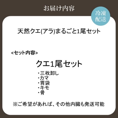 天然クエ(アラ)まるごと1尾セット(約3kg)【マルケイ水産】_HA2007