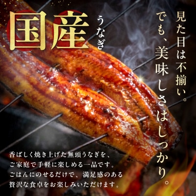 〈訳あり〉国産うなぎ蒲焼 4尾 380g以上【魚住商店】_HA1998
