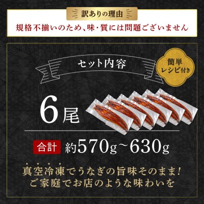 〈訳あり〉国産うなぎ蒲焼 6尾 570g以上【魚住商店】_HA2001
