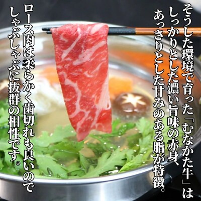 むなかた牛ローススライス400g【道の駅むなかた】_HA2092
