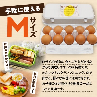 【毎月】新鮮 赤卵「宗像たまご」Mサイズ 30個×12ヶ月定期便【JAほたるの里】_HB0215