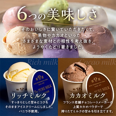 千本松牧場のThe PURE MILKアイスクリーム10個セット