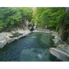 塩原温泉宿泊利用券(竹コース・30,000円分) | ふるさと納税のお礼品