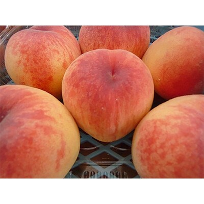 那須塩原の8月が旬の桃(品種おまかせ)約3kg