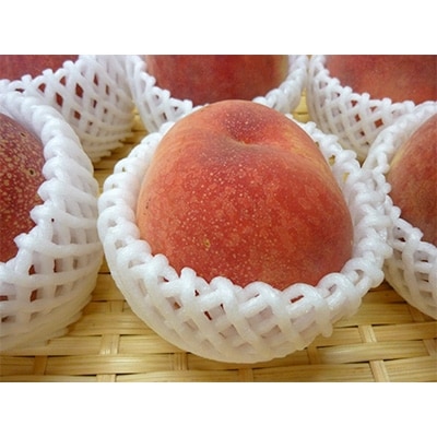 那須塩原の8月が旬の桃(品種おまかせ)約3kg