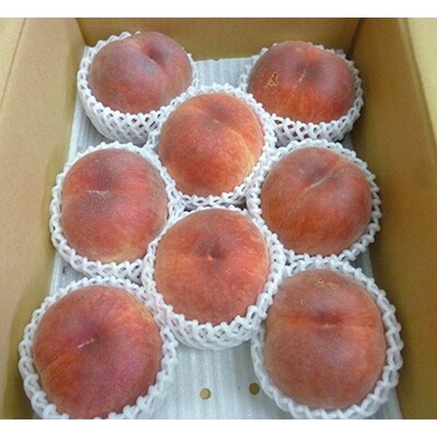 那須塩原の8月が旬の桃(品種おまかせ)約3kg