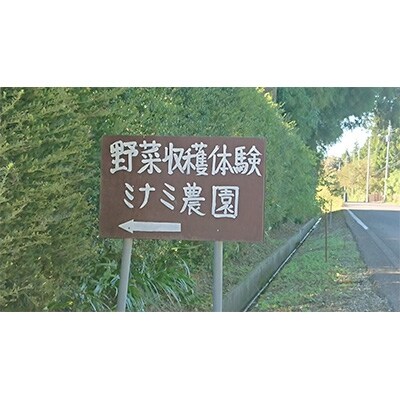 ミナミ農園で農業(収穫)体験　チケット1枚