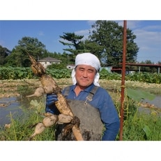 赤川農園のレンコン箱詰め(3kg)