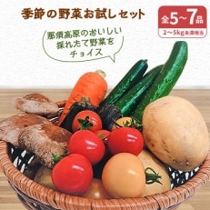 季節の野菜お試しセット(全5～7品)