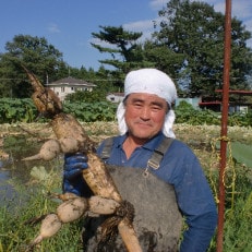 赤川農園のレンコン箱詰め(1.5kg)