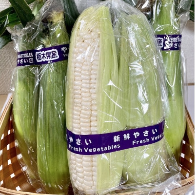 那須塩原市産 新鮮とうもろこしセット　8本　約2kg