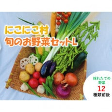 にこにこ村旬のお野菜セットL(10～13種類)