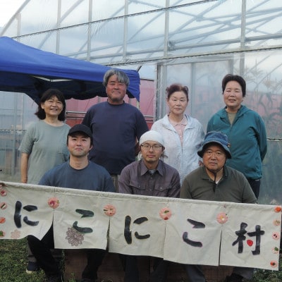 にこにこ村旬のお野菜セットL(10～13種類)