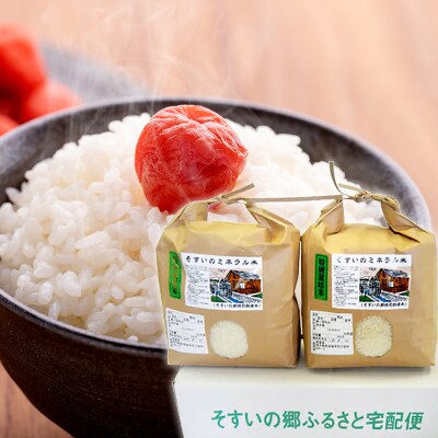 【令和4年産】こしひかり6Kg(そすいのミネラル米:そすいの郷特別栽培米)