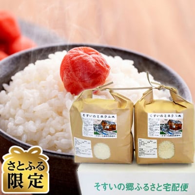 【さとふる限定】【令和7年産】こしひかり6Kg(そすいのミネラル米)