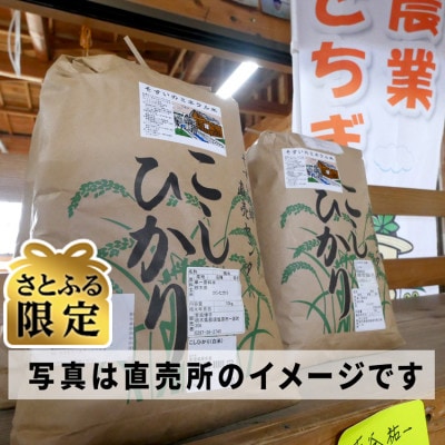 【さとふる限定】【令和7年産】コシヒカリ米10kg(そすいのミネラル米)