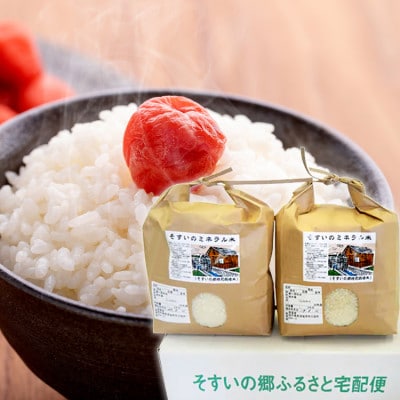 【令和7年産】コシヒカリ米10kg(そすいのミネラル米)