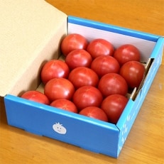 味恋とまと | ふるさと納税のお礼品