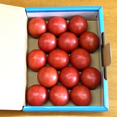 ふるさと納税 那須塩原市 味恋とまと