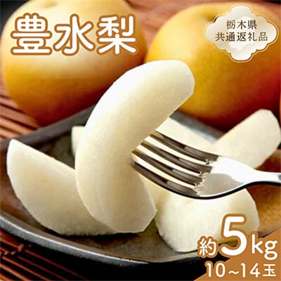 豊水梨　1箱(10個～14個)【栃木県共通返礼品】