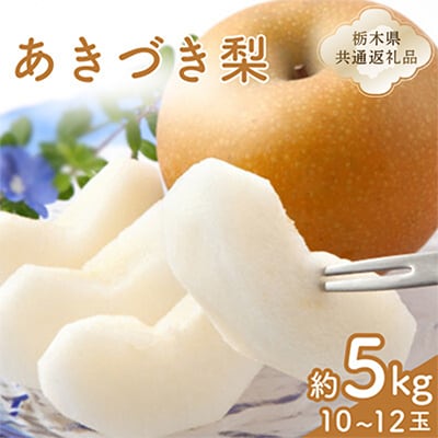 あきづき梨　1箱(10個～12個)【栃木県共通返礼品】