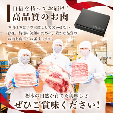 低糖質・無添加(保存料・酸化防止剤 )ヘルシーハンバーグ