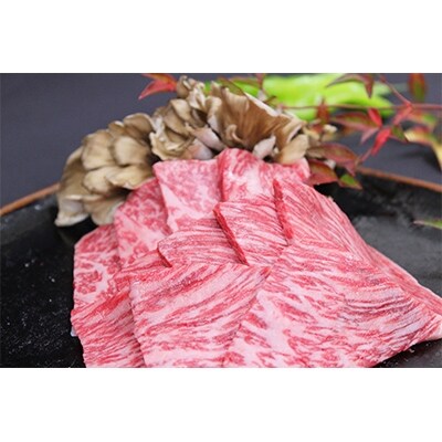 那須野ヶ原和牛 旨味の霜降り焼肉500g(約3~5人前)