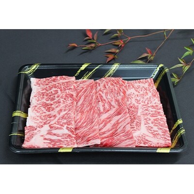 那須野ヶ原和牛 旨味の霜降り焼肉500g(約3~5人前)