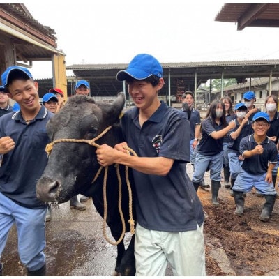 【栃木県立那須拓陽高校の生徒が丹精込めて育てた】とちぎ和牛肩ロースすき焼き用 500g