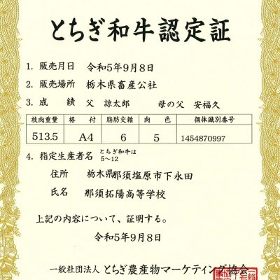 【栃木県立那須拓陽高校の生徒が丹精込めて育てた】とちぎ和牛切り落とし 550g