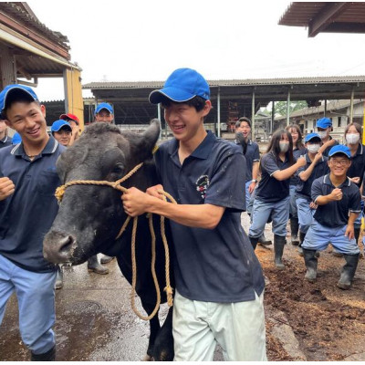 【栃木県立那須拓陽高校の生徒が丹精込めて育てた】とちぎ和牛切り落とし 550g