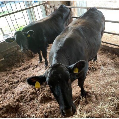 【栃木県立那須拓陽高校の生徒が丹精込めて育てた】とちぎ和牛切り落とし 550g