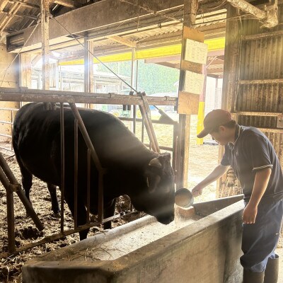 【栃木県立那須拓陽高校の生徒が丹精込めて育てた】とちぎ和牛サーロインステーキ用 300g