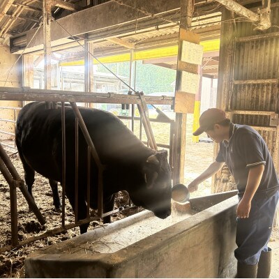 【栃木県立那須拓陽高校の生徒が丹精込めて育てた】とちぎ和牛肩ロースすき焼き用 400g