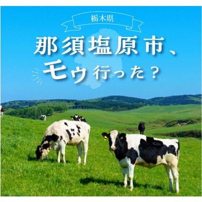 那須塩原市　ふるさと市民カード
