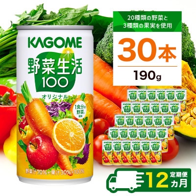【毎月定期便】カゴメ 野菜生活100(オリジナル) 190g缶×30本全12回