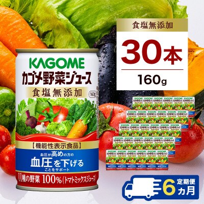 【毎月定期便】カゴメ 野菜ジュース 食塩無添加 160g缶×30本全6回