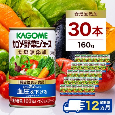 【毎月定期便】カゴメ 野菜ジュース 食塩無添加 160g缶×30本全12回